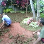 proses pembuatan taman di depok - tukang taman depok