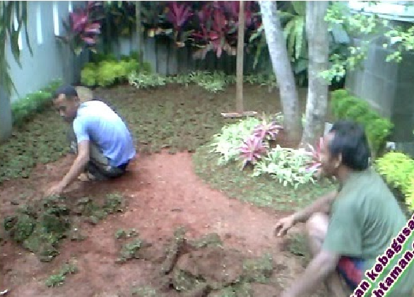 proses pembuatan taman di depok - tuakng taman depok
