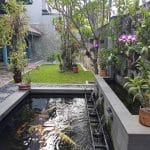 tukang kolam koi jabodetabek profesional