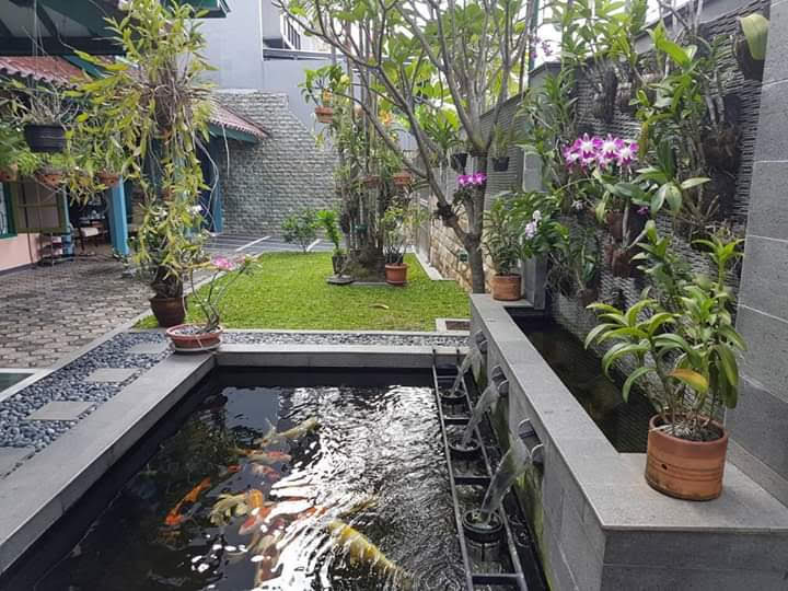 tukang kolam koi profesional depok