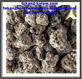 Batu Karang Filter Kolam