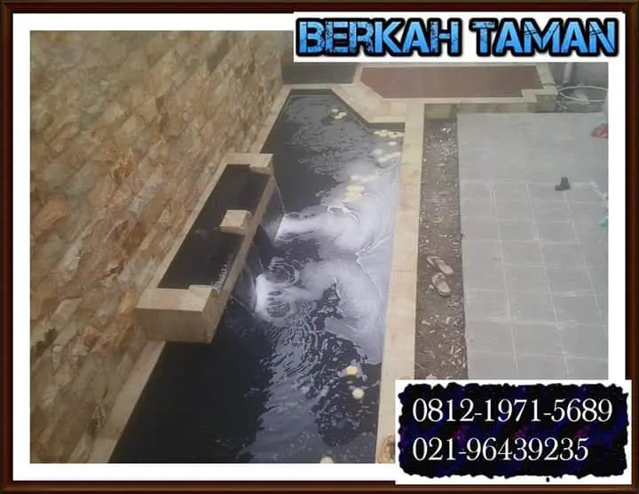 Kolam koi Bekasi hasil jadi jernih