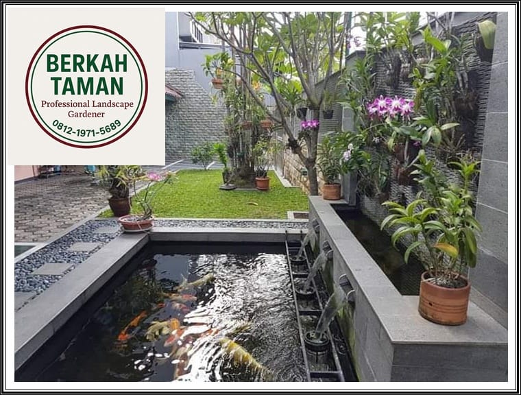 Proses pembuatan kolam koi minimalis modern