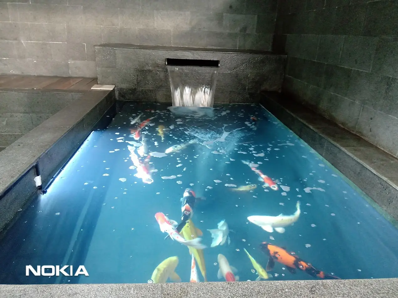 Tukang kolam koi profesional di Cibinong Bogor sedang menyelesaikan tahap finishing dan pengisian air kolam koi