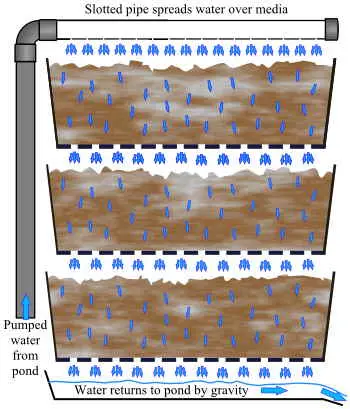 Ilustrasi sistem filter Bakki Shower untuk kolam koi dengan aliran air bertingkat