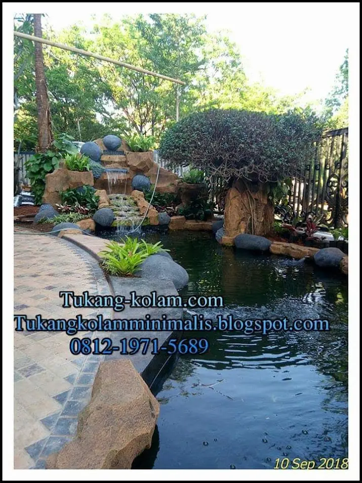 Tukang kolam koi Sentul model natural kolam koi