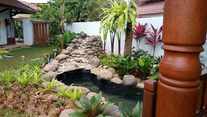 Tukang kolam koi Dramaga desain tropis alami
