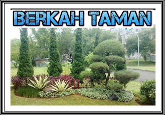 Jasa Tukang Taman Cinere Depok Profesional - Berkah Taman Group